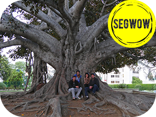 SEGWOW Original guided Segway tours Los Angeles Beverly Hills Santa Monica Venice Hollywood UCLA Malibu Griffith
